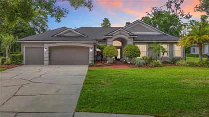 LUTZ FL Home