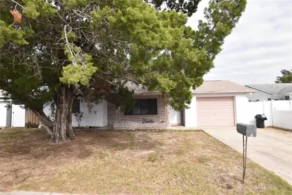PORT RICHEY FL Home