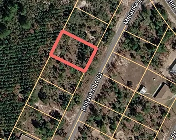 OCKLAWAHA FL Property