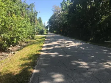NEW SMYRNA BEACH FL Property