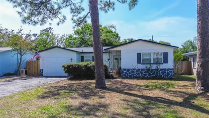 ST PETERSBURG FL Home