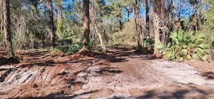 GEORGETOWN FL Property
