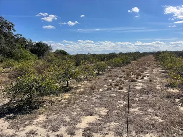 FROSTPROOF FL Property