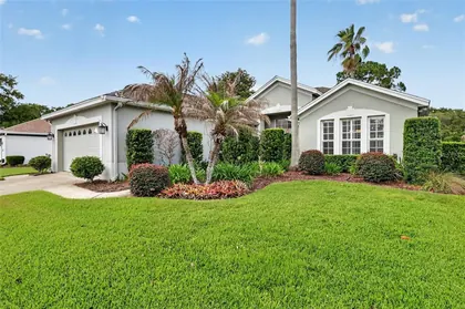 MOUNT DORA FL Home