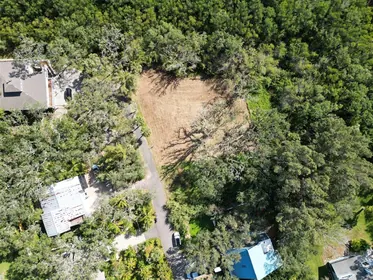 SAFETY HARBOR FL Property