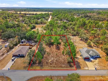 WEEKI WACHEE FL Property