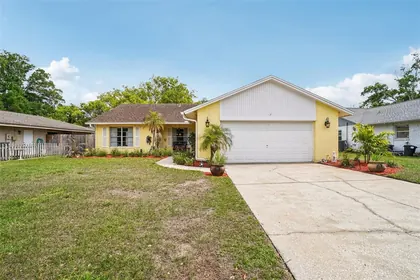 LUTZ FL Home
