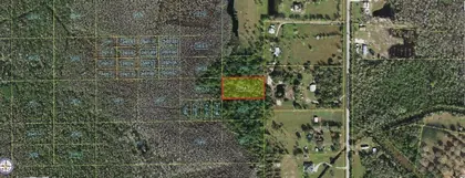 ST CLOUD FL Property