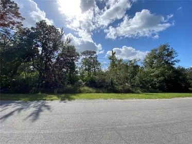 ORLANDO FL Property