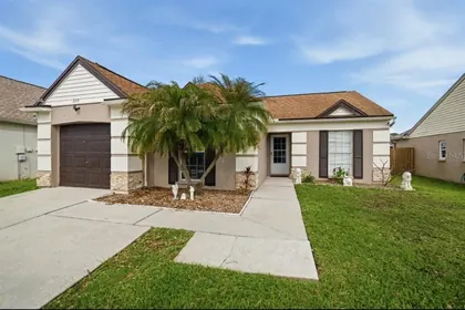 BRANDON FL Home