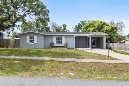 SPRING HILL FL Home
