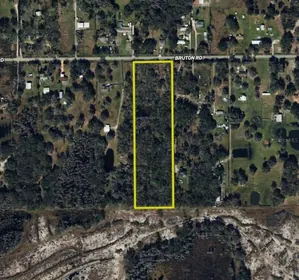 PLANT CITY FL Property