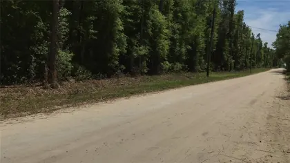 WILLISTON FL Property