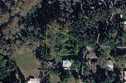 LEESBURG FL Property