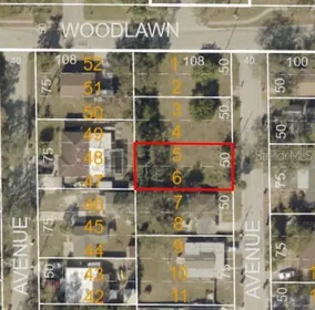 CLEARWATER FL Property