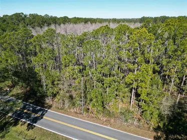 POLK CITY FL Property