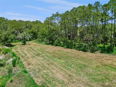 MIMS FL Property