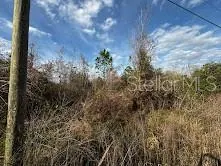 NEW SMYRNA BEACH FL Property