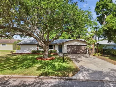 DUNEDIN FL Home