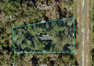 BROOKSVILLE FL Property