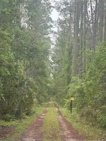 DELAND FL Property
