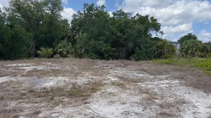 PUNTA GORDA FL Property