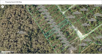 WEBSTER FL Property