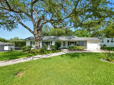 MOUNT DORA FL Home