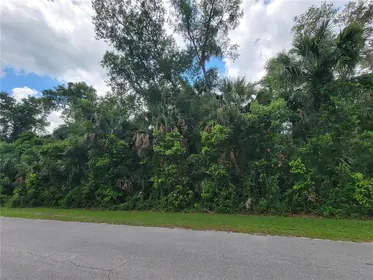 ORMOND BEACH FL Property