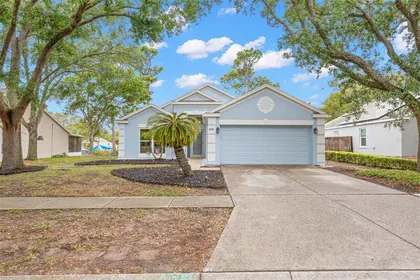 TARPON SPRINGS FL Home