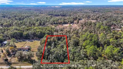 WEBSTER FL Property