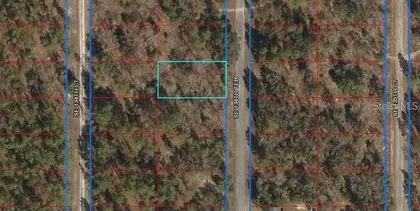 DUNNELLON FL Property