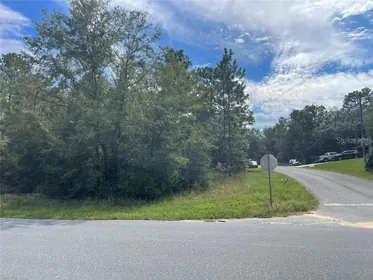 CITRUS SPRINGS FL Property
