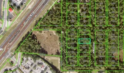 SPRING HILL FL Property