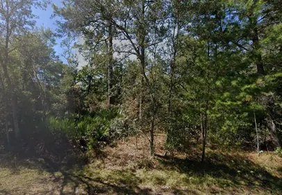 INTERLACHEN FL Property