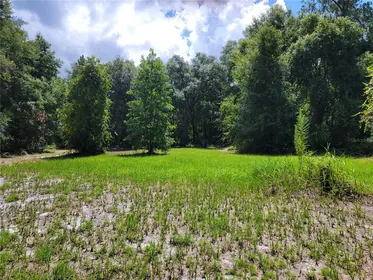 OCKLAWAHA FL Property