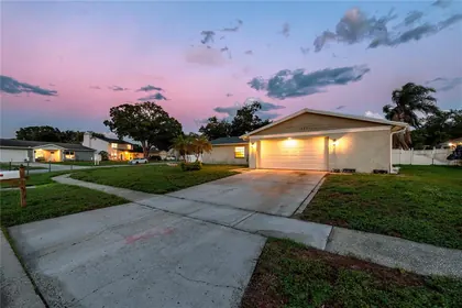 TAMPA FL Home