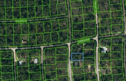 LAKE PLACID FL Property