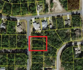 CITRUS SPRINGS FL Property