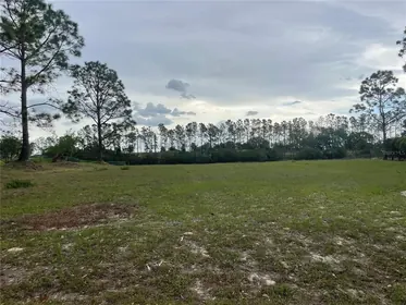CLERMONT FL Property