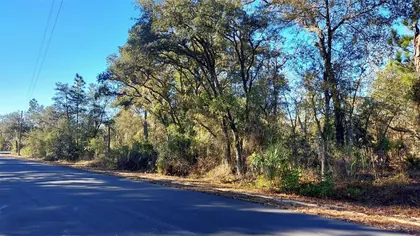 DUNNELLON FL Property