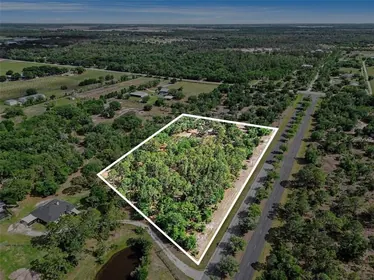 MYAKKA CITY FL Property