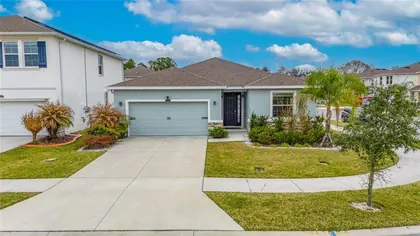 WESLEY CHAPEL FL Home