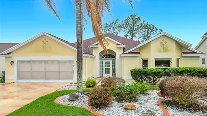 THE VILLAGES FL Home