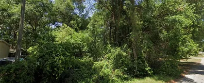 SUMMERFIELD FL Property
