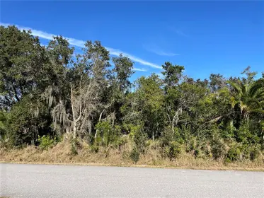 LAKE WALES FL Property