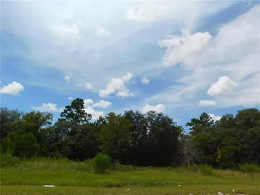 DUNNELLON FL Property