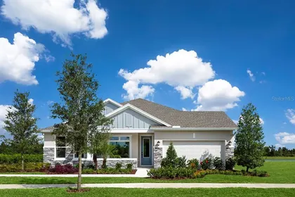 WESLEY CHAPEL FL Home