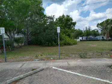 OLDSMAR FL Property