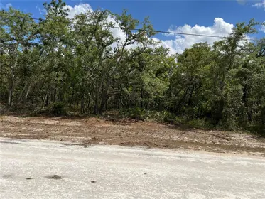 WEEKI WACHEE FL Property